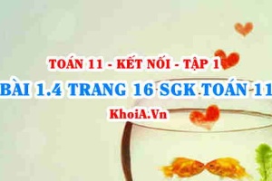 Bài 1.4 trang 16 SGK Toán 11 tập 1 Kết nối tri thức